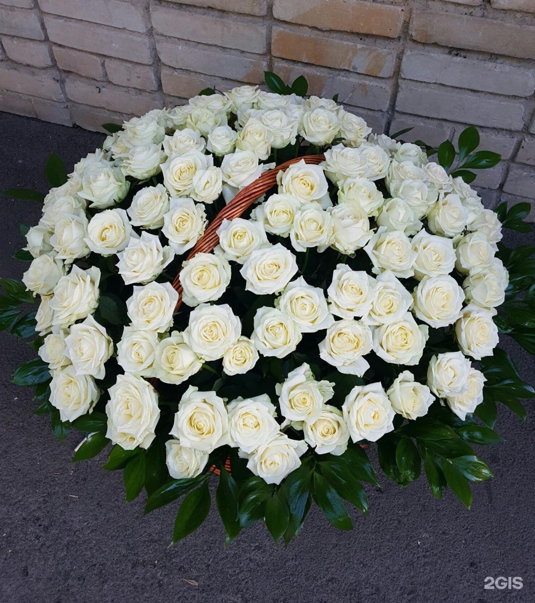 Огромная корзина белых роз