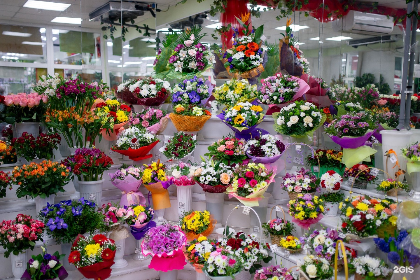 Где Купить Недорогие Цветы Спб