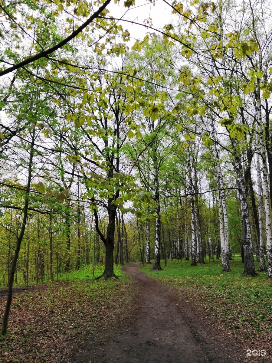 удельный парк в петербурге