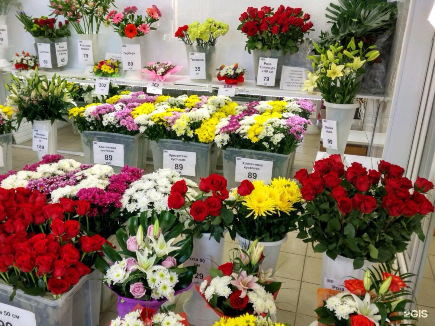 Где Купить Цветы Оптом Дешево