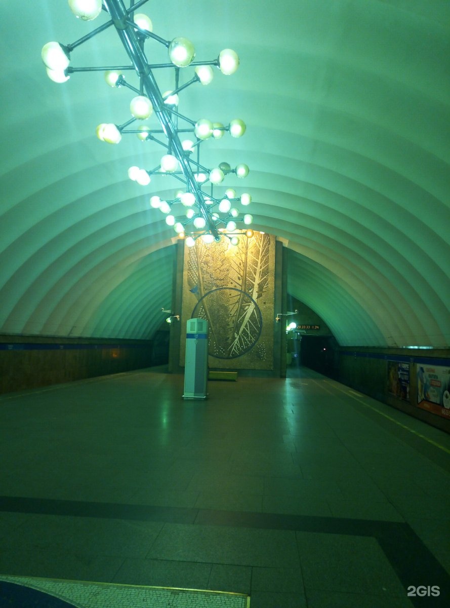 Станция Озерки Санкт-Петербург
