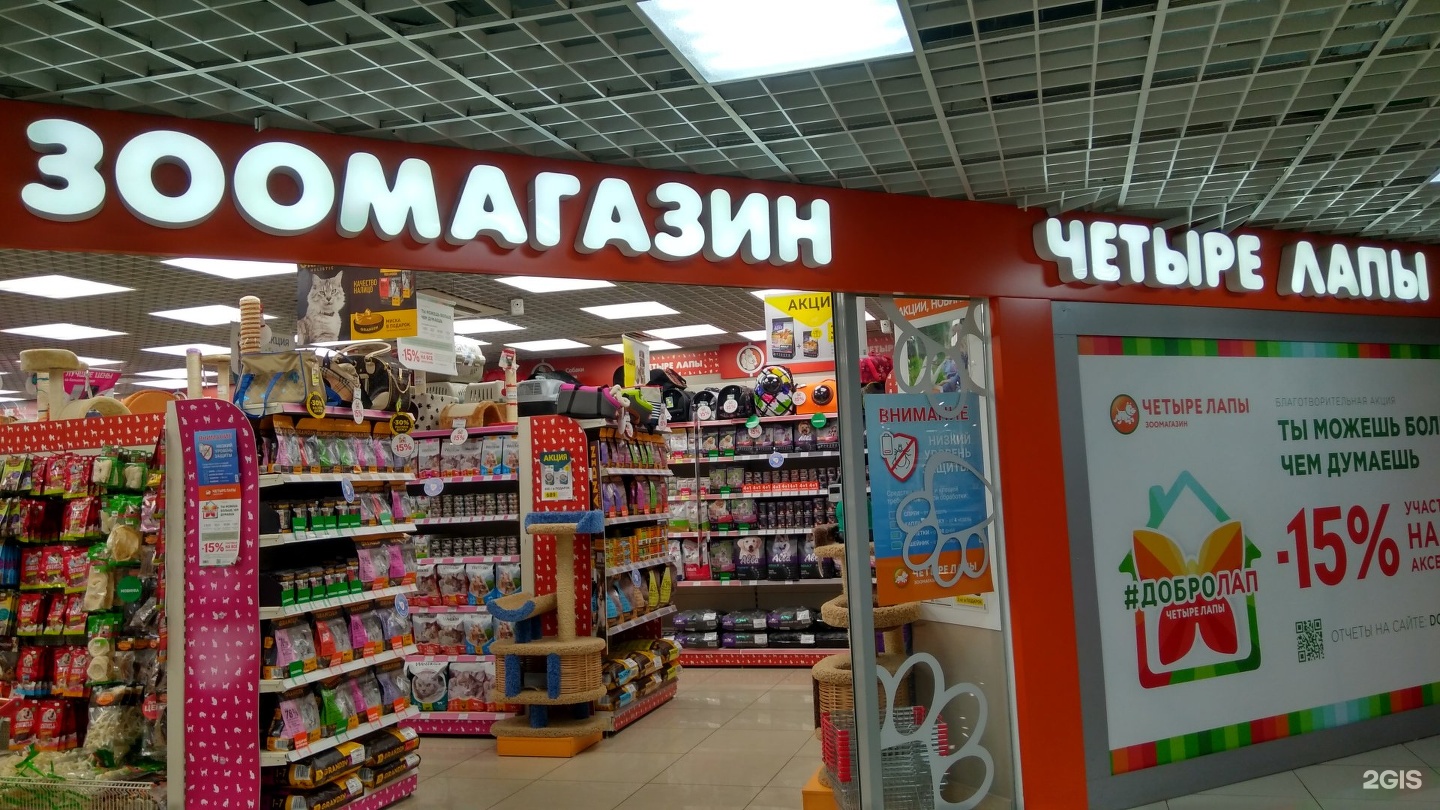 Четыре Лапы Интернет Магазин Товаров Ярославль