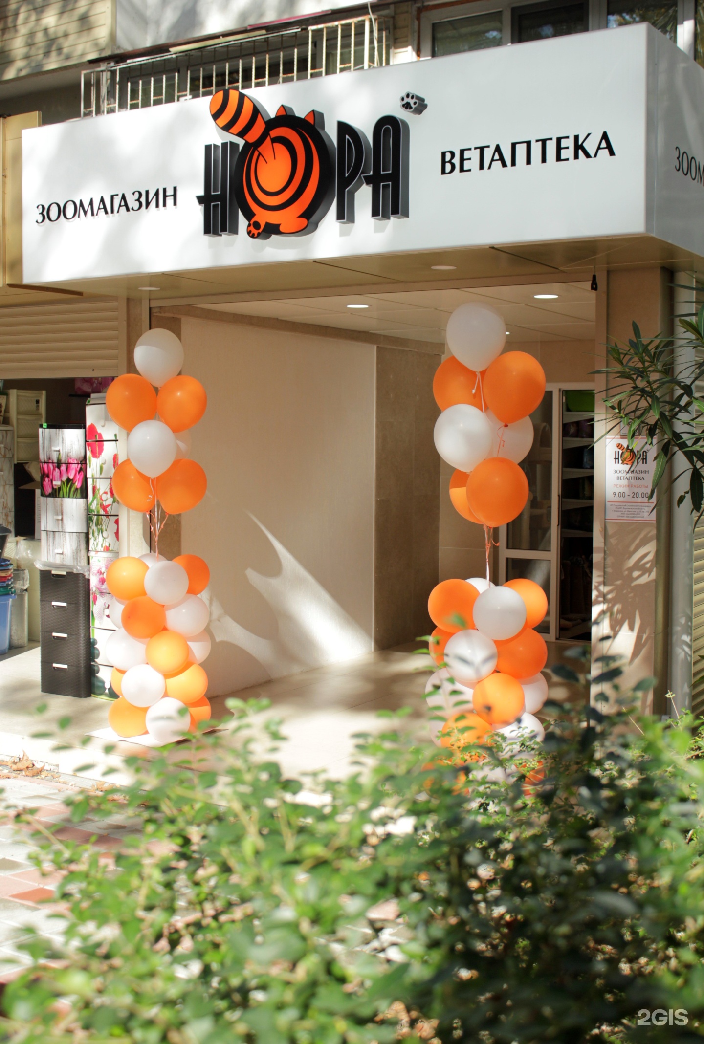 Нори воронеж