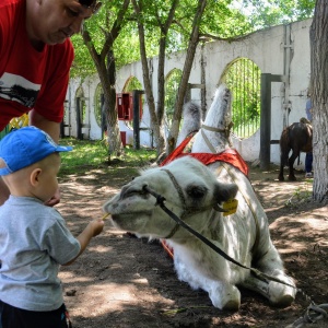 Фото от владельца Карагандинский государственный зоопарк