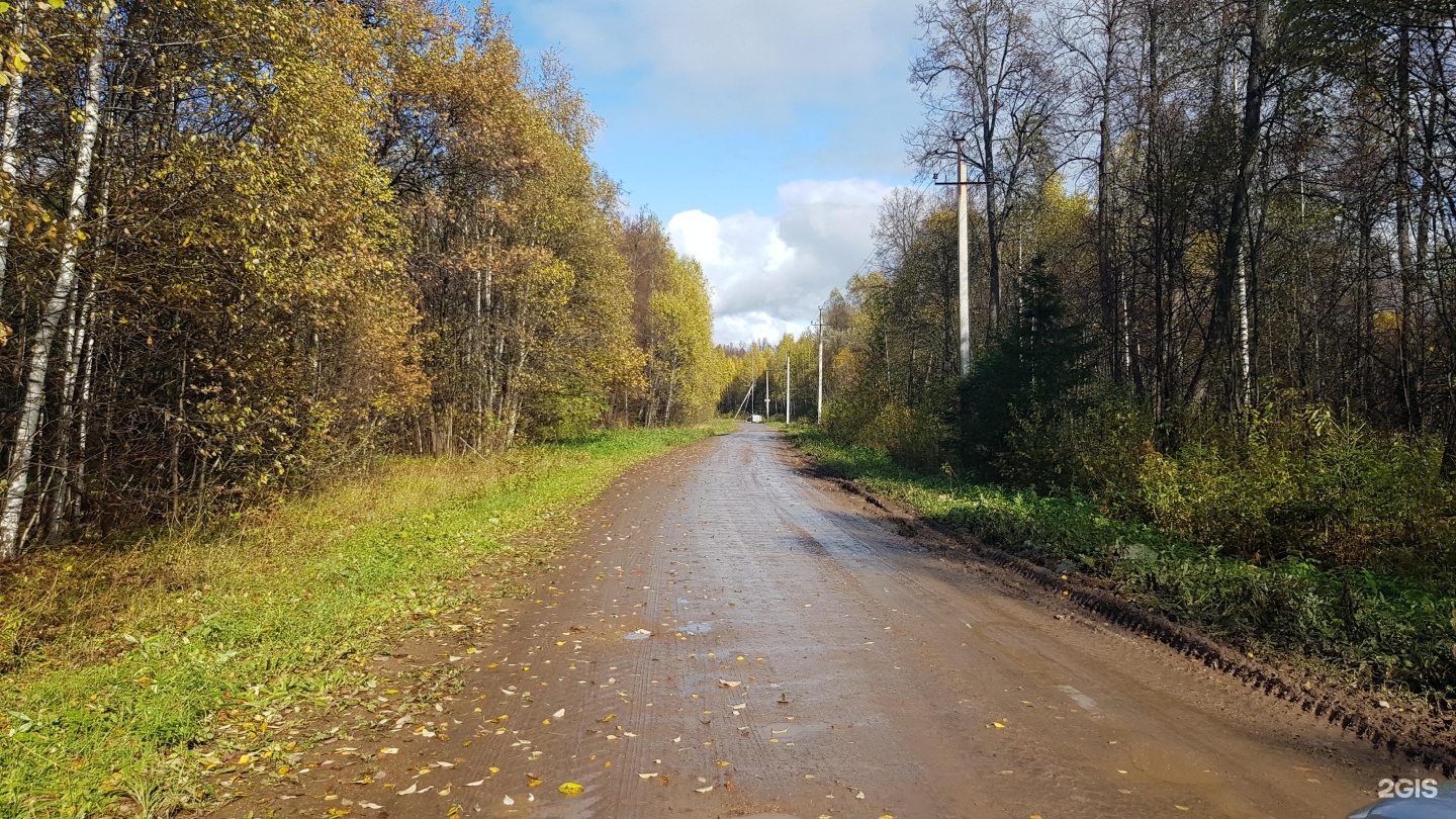 Компания села. Завидово Village Уфа. Завидово Оленинский район. Камень в Завидово. Деревня Завидово Пошехонский район.