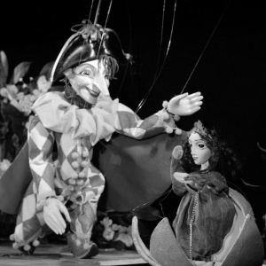 Фото от владельца Санкт-Петербургский государственный театр марионеток им. Е.С. Деммени