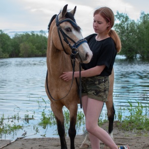 Фото от владельца ЛЕГЕНДА, конный клуб