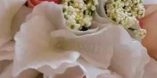 Калининград: Гостевой дом Константа