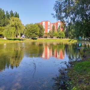 Фото от владельца Воронежские озера, парк