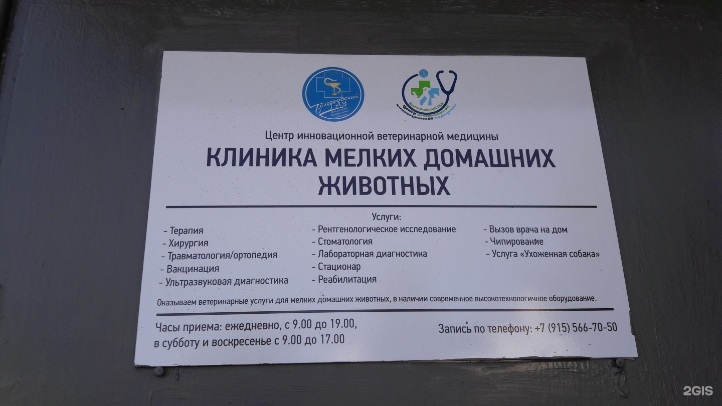 Ветеринарная белый бим самара