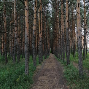 Фото от владельца Иня, горнолыжный клуб