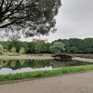 Фото от владельца Дубки, парк