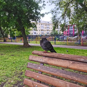 Фото от владельца Парк им. И. Якутова