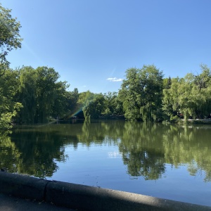 Фото от владельца Городской парк