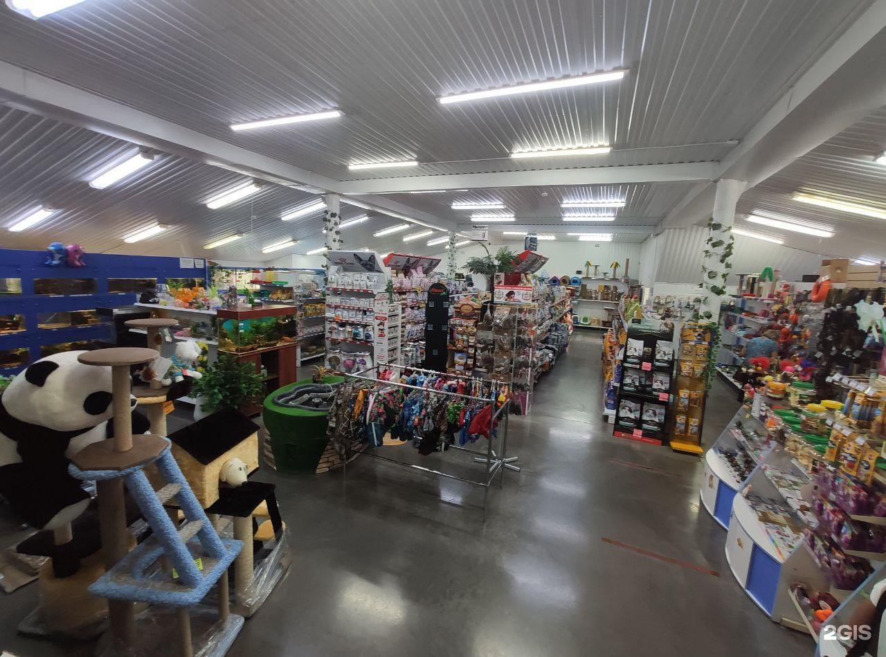 зоомагазин панда. панда новоалтайск. сетевые зоомагазины. мягкая игрушка панда ae403111406gn. зоомагазин панда долинск.