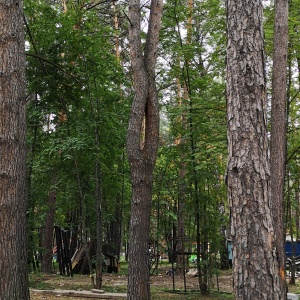 Фото от владельца Сосновый бор, парк культуры и отдыха