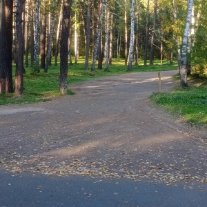 Фото от владельца Заельцовский, парк культуры и отдыха