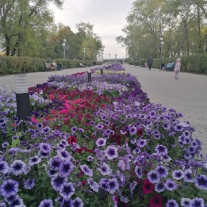 Фото от владельца Детский парк им. В.В. Терешковой