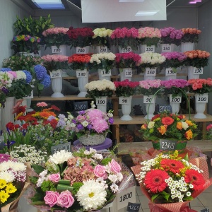 Фото от владельца БукетОпт, цветочная база