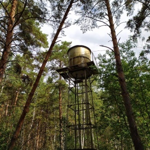 Фото от владельца Сказка, комплекс загородного отдыха