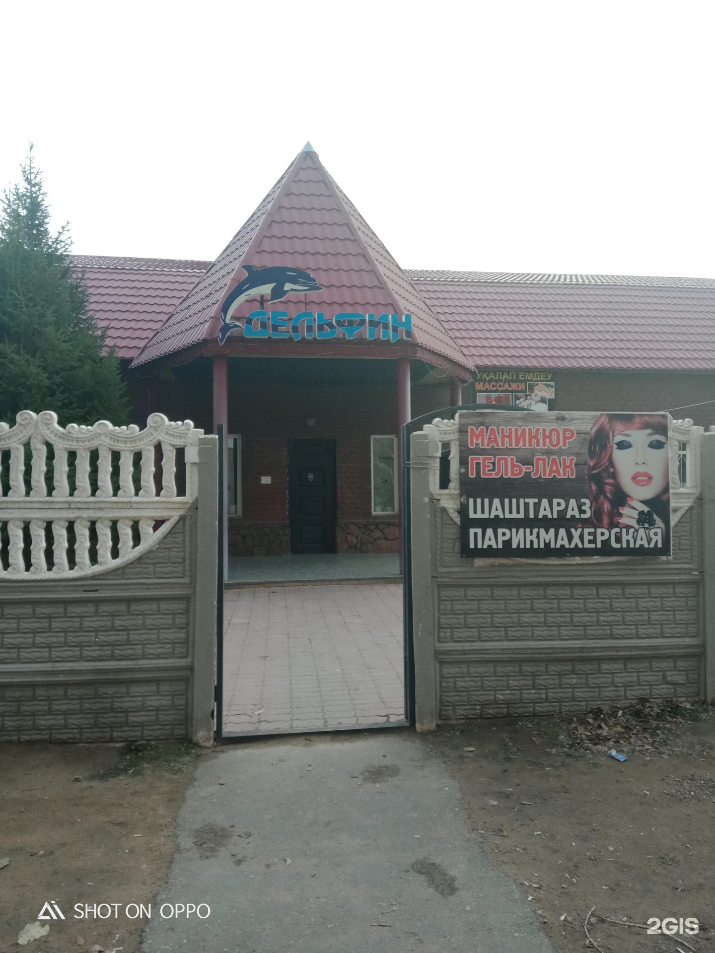 Дельфин