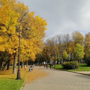 Фото от владельца Московский парк Победы