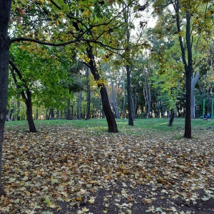 Фото от владельца Дюковский сад, парк культуры и отдыха