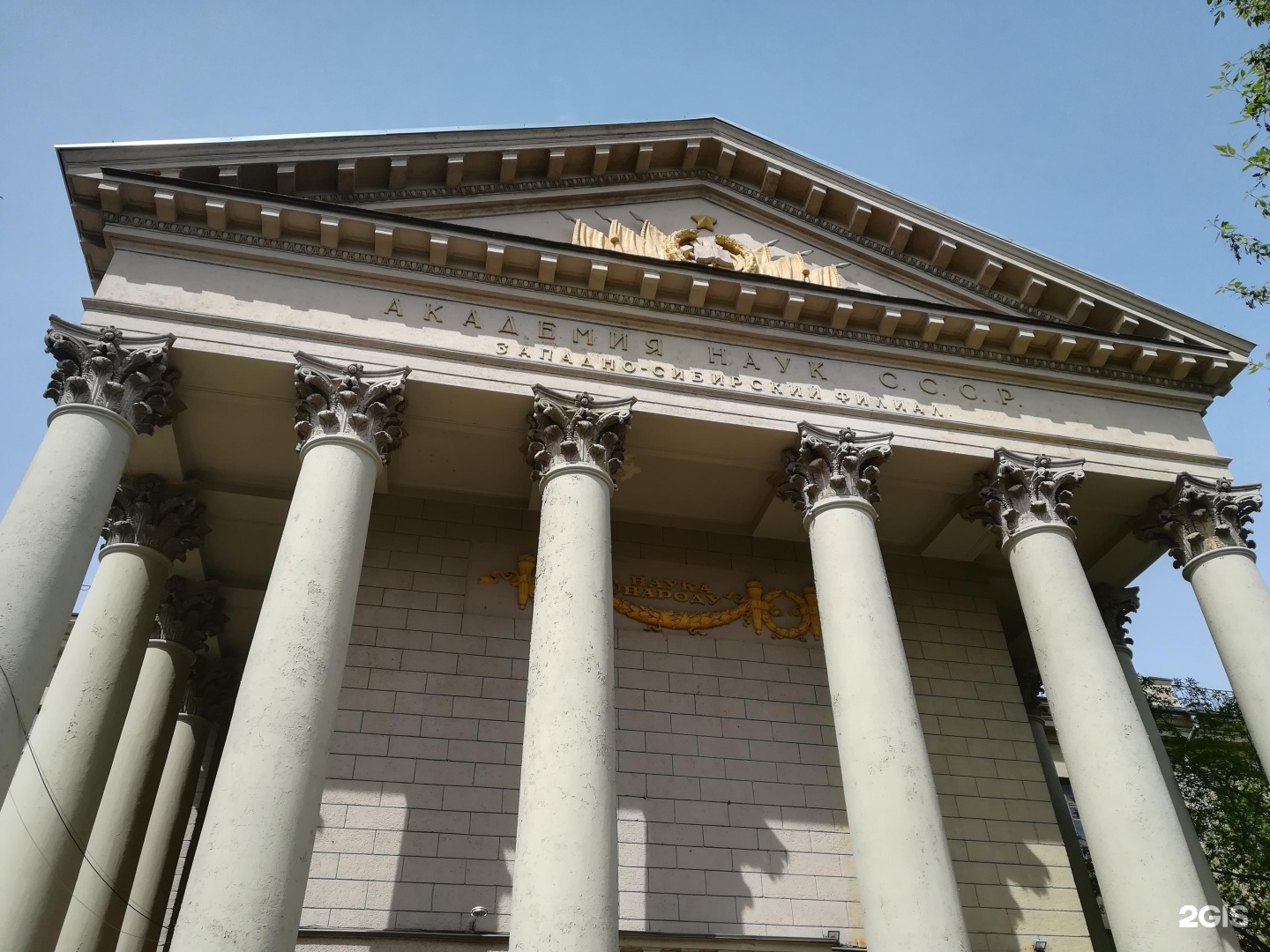 Исиэж со ран. Институт систематики животных. Фрунзе 11 новосибирск. Институт систематики животных. Исиэж со ран новосибирск.