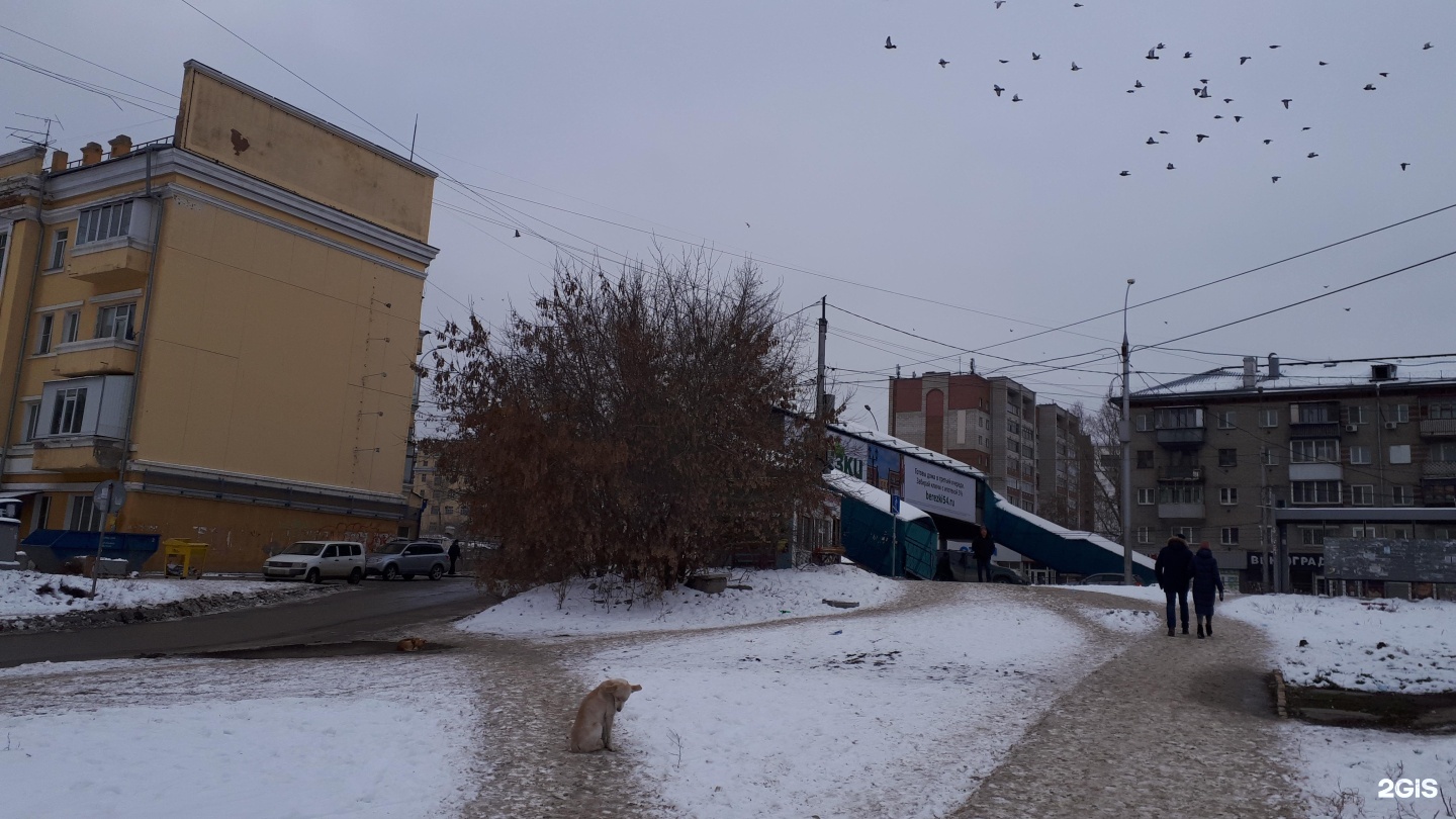 Река большевистская ул 45 1 новосибирск фото