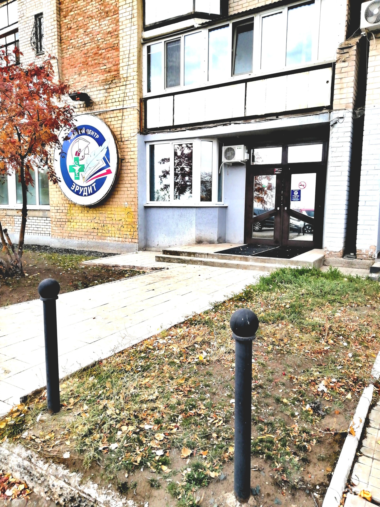 Эрудит оренбург дистанционное