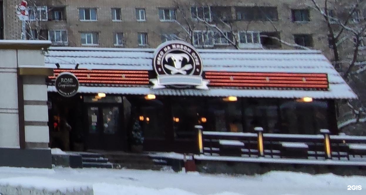 кафе весна северодвинск меню. бг мясо на живом огне. бг мясо на живом огне. шашлык аппетитный. кафе братья гриль архангельск.