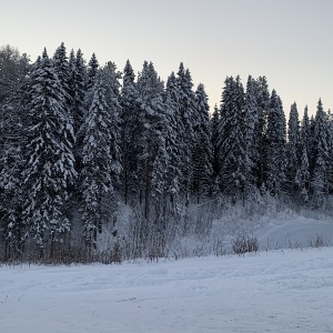 Фото от владельца Зеленецкие Альпы