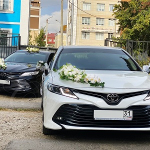 Фото от владельца le Cortege, транспортная компания