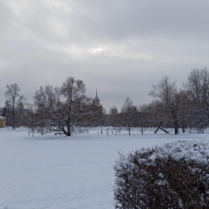 Фото от владельца Московский парк Победы