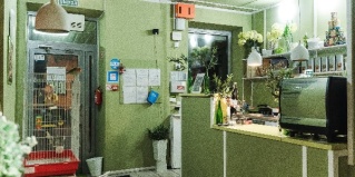 Москва: Отель Олива