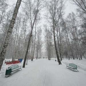 Фото от владельца Политехник, стадион