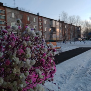 Фото от владельца Тюльпан, магазин цветов и семян