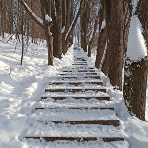 Фото от владельца Городской парк культуры и отдыха им. Виктора Талалихина