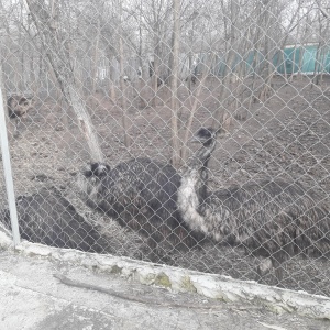 Фото от владельца Нью Васюки, этно-парк