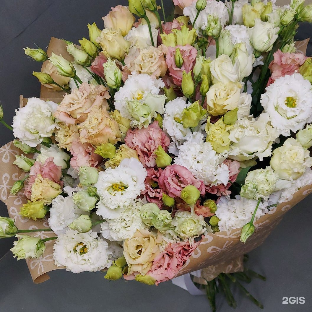 Цветы Братск. Цветочный братск. Цветы Братск.