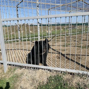 Фото от владельца Чудесный, Уссурийский зоопарк