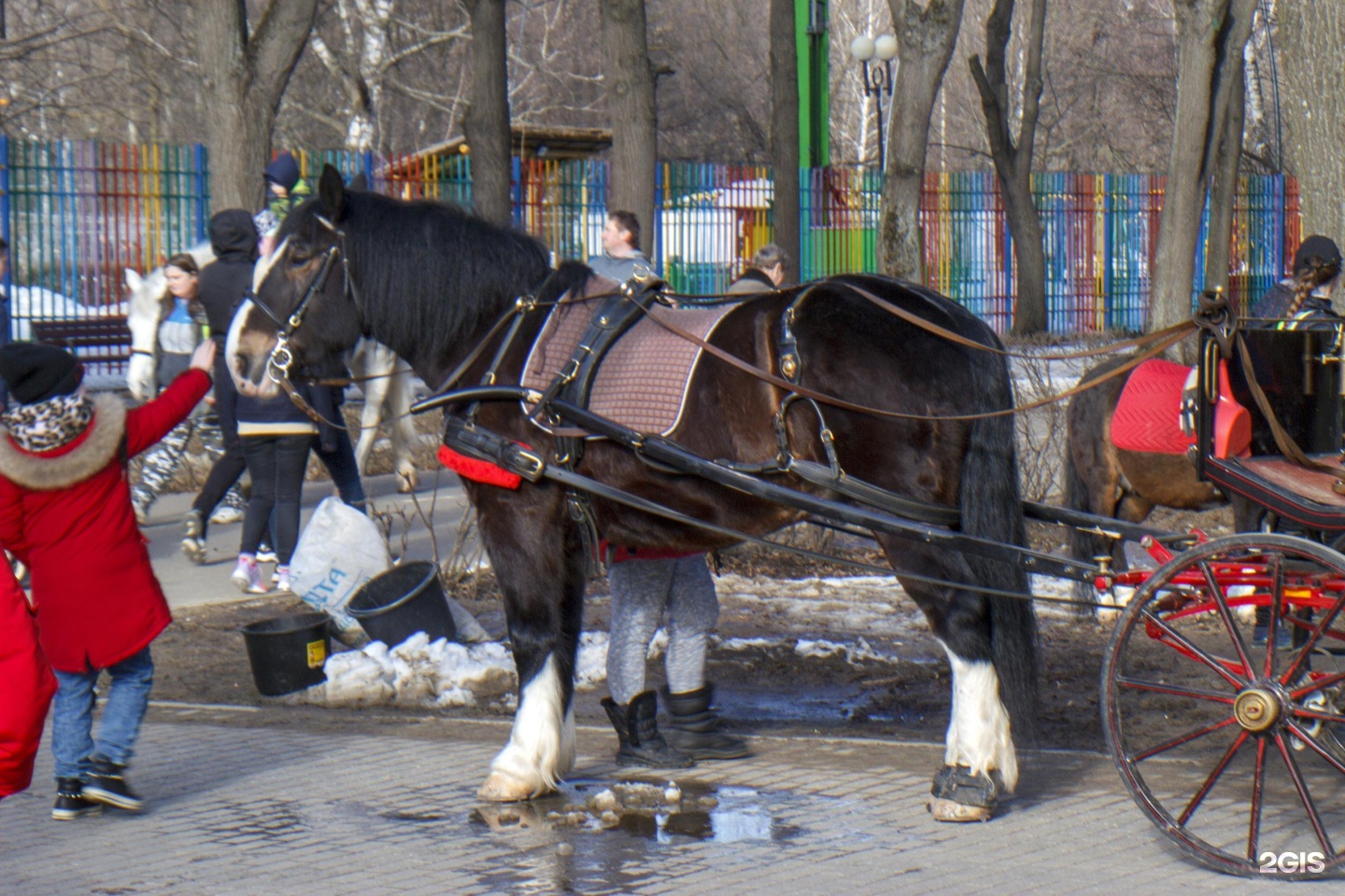 Измайловский 7а. Измайловский парк, Москва, аллея большого круга. Аллея большого круга 7 Измайловский парк.