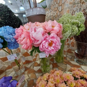 Фото от владельца Фотінія, цветочная галерея