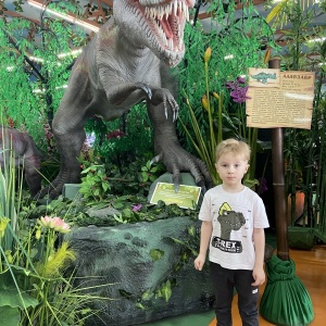 Фото от владельца Динозаврия, детский развлекательный комплекс