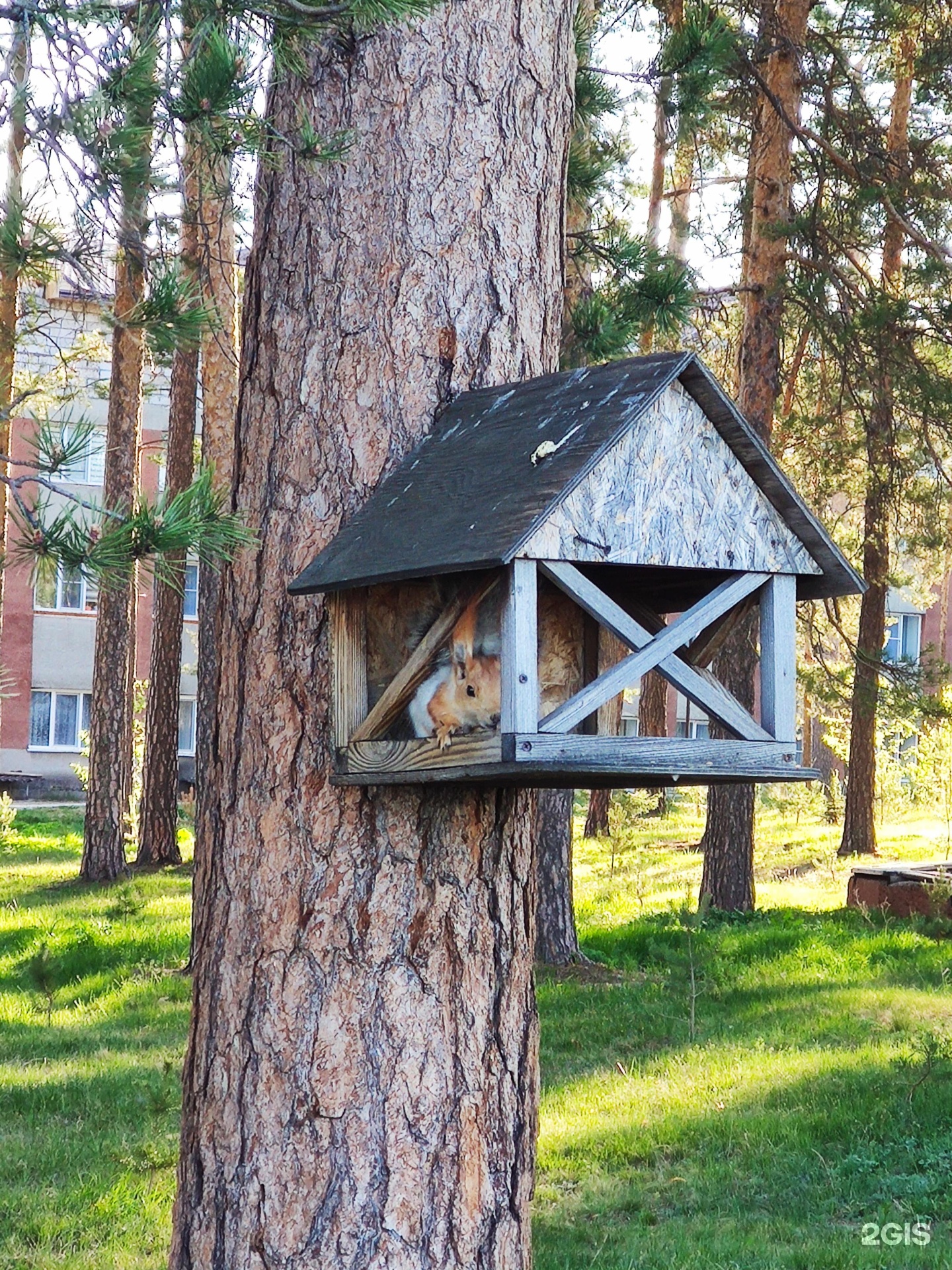 Обские плесы санаторий барнаул