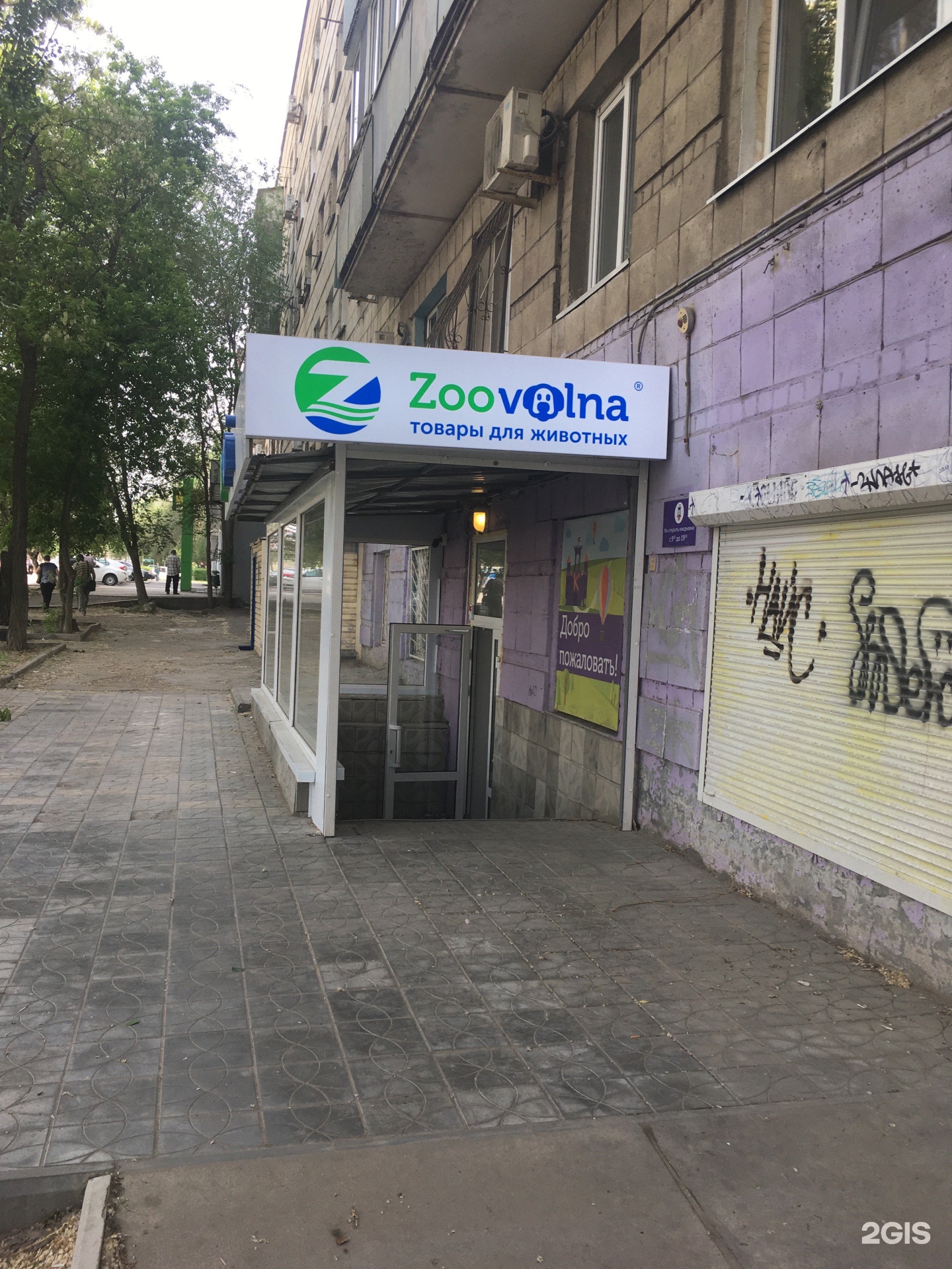 Зооволна интернет магазин для животных волгоград. Волгоград zoovolna. Зооволна интернет магазин. Ерёменко 100 Волгоград. Еременко 100 Волгоград фото.