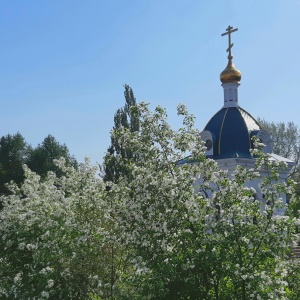 Фото от владельца Часовня Ильи Пророка