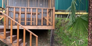 Дагомыс: Коттедж Самсар