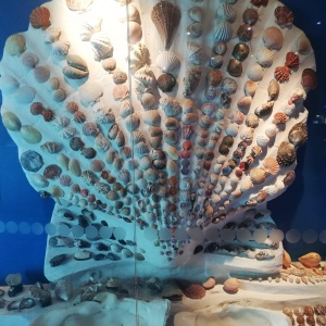 Фото от владельца Музей Мирового океана