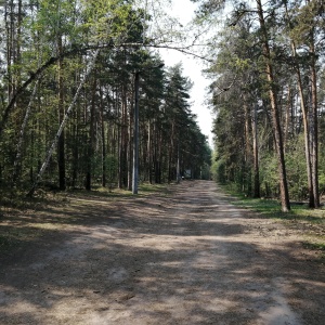 Фото от владельца Центральный парк культуры и отдыха им. Ю.А. Гагарина